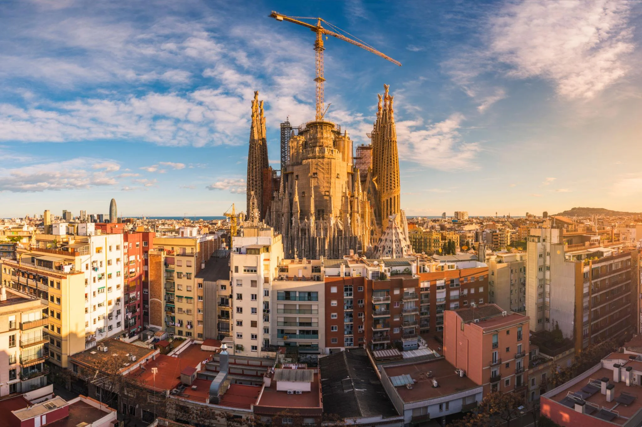 Barcelona Exhibition